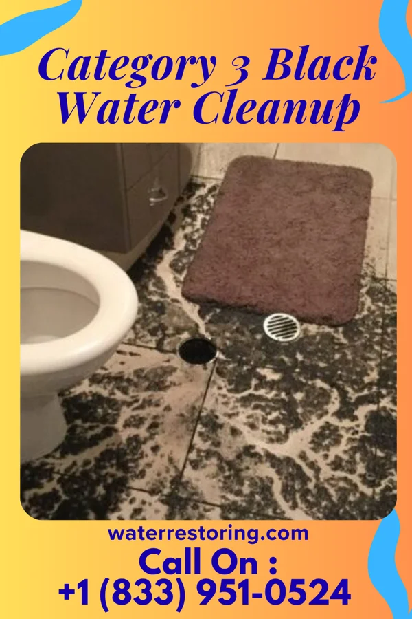 Category 3 Black Water Cleanup in Wetherington, OH