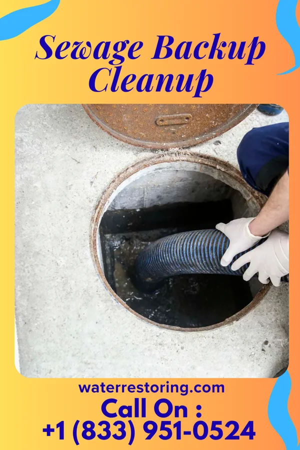 Sewage Backup Cleanup in Wetherington, OH