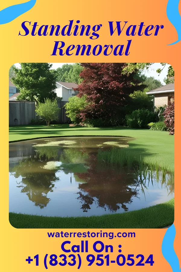 Standing Water Removal in Wetherington, OH